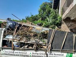 Best Moving and Downsizing Cleanouts  in Gateway, AK